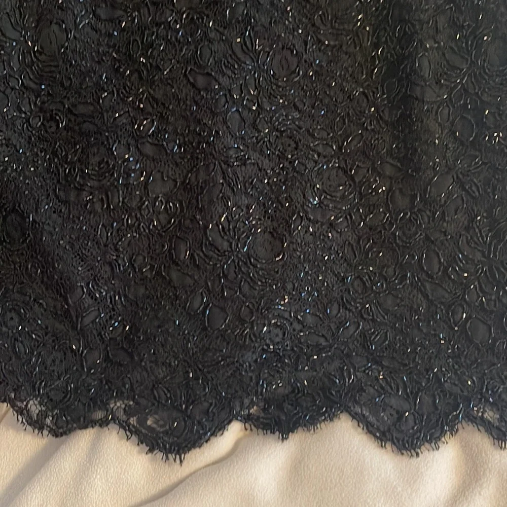 THE J. Peterman Company Stunning beaded skirt with scallop edges at the bottom 4 - Picture 2 of 8